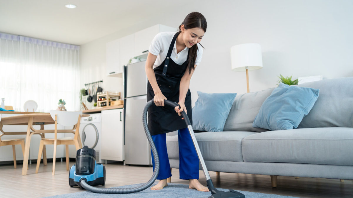 professional cleaning service