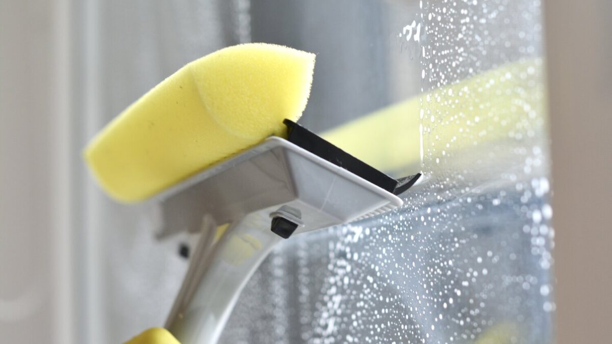 window cleaning mould