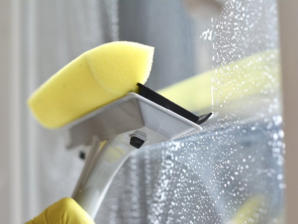 window cleaning mould